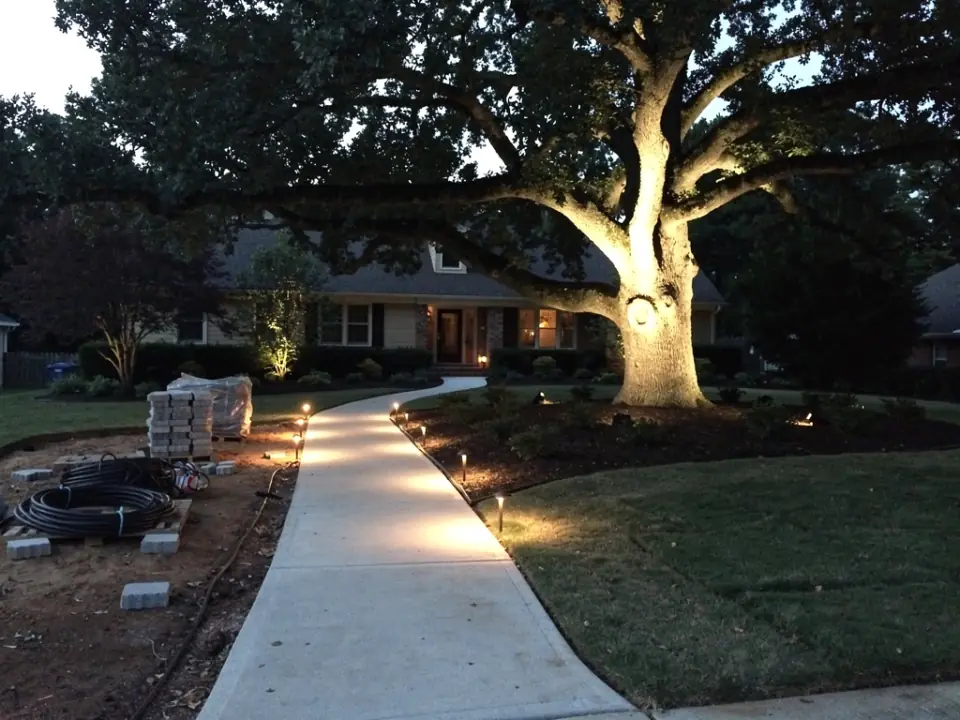 An oak tree uplit at night with warm path lights glowing along the front walk.