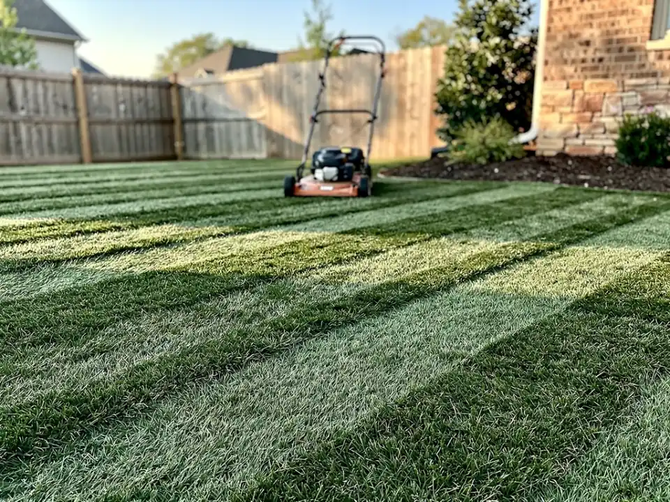 Freshly mown fescue lawn in neat stripes with a walk-behind mower parked at the edge.
