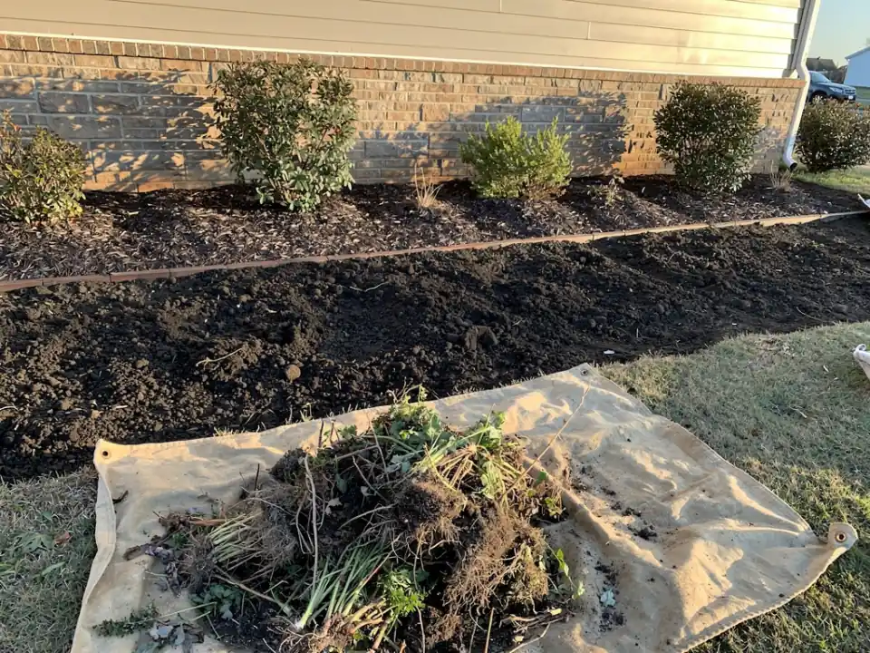 A planting bed cleared of weeds and debris, with a tarp of pulled weeds beside it.