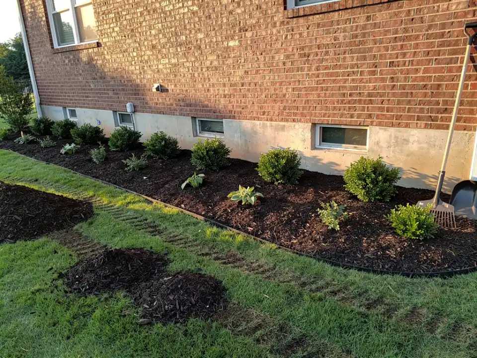 Planting beds finished in an even layer of dark brown hardwood mulch with a crisp edge.