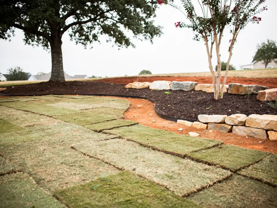 Freshly laid sod meeting a mulched planting bed